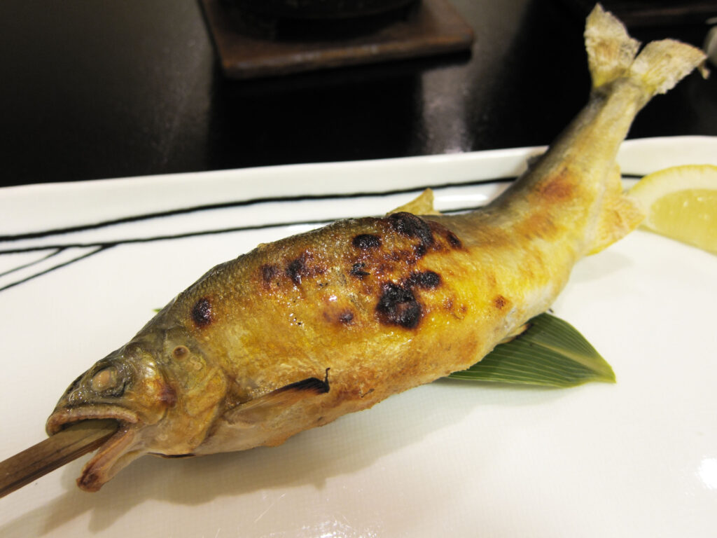 Grilled and skewered Ayu fish