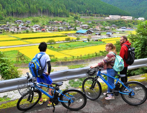 下呂の田園風景を眺めるサイクリングツアー客