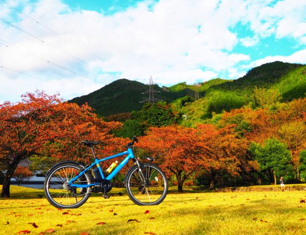 紅葉とE-Bike