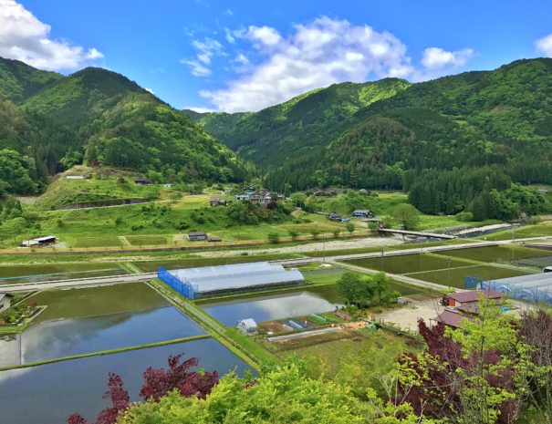 Beautiful scenery in the countryside of Japan