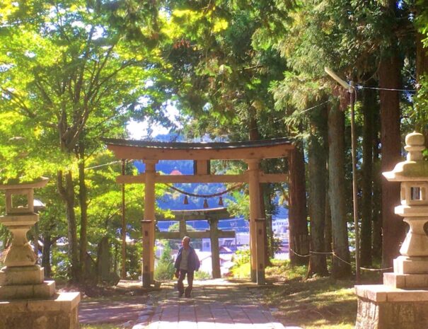 神社の参道を歩く男性