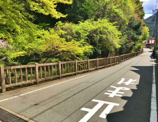 新緑が美しい田舎道